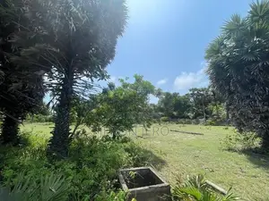 Land for Sale Allaippiddy Jaffna