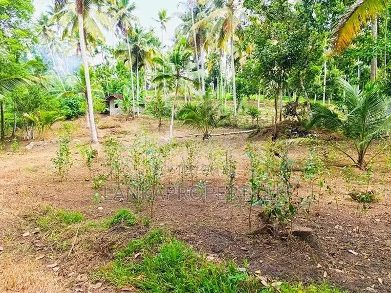 367 Perches Scenic Land for Sale in Ahangama.