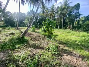 ( GC-1068) Valuable Commercial Bare Land Sale in Meegoda