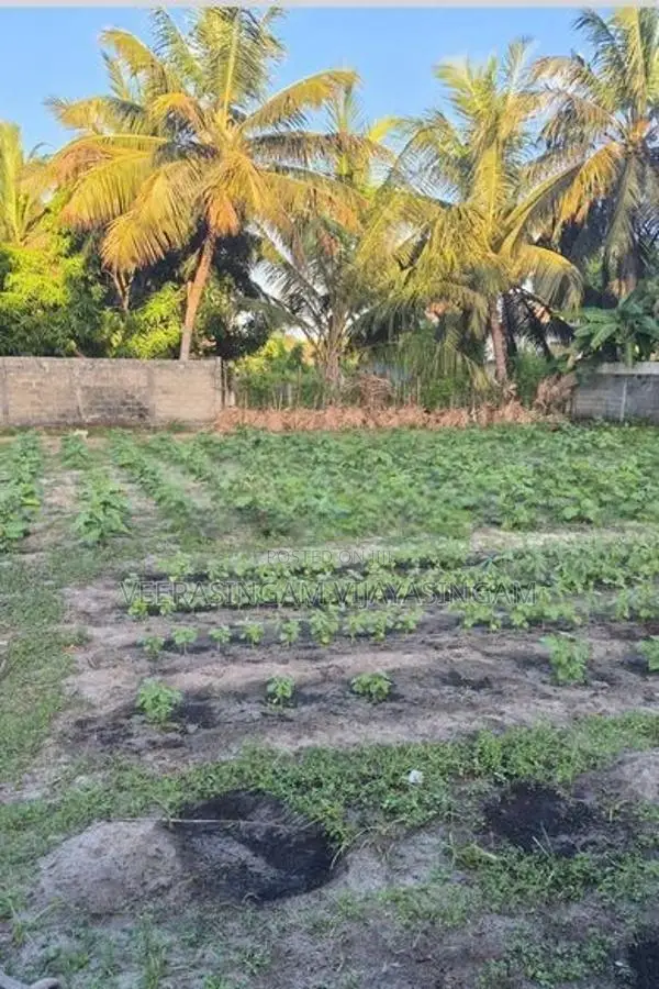 Land for Sale Chenkalady