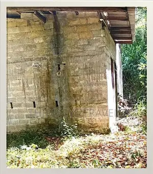 තලාතුඔය – ගුරුදෙනිය පාරේ වටිනා ඉඩමක් සහ අඩක් නිම කළ නිවසක් විකිණීමට