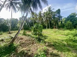 ( GC-1068) Valuable Commercial Bare Land Sale in Meegoda