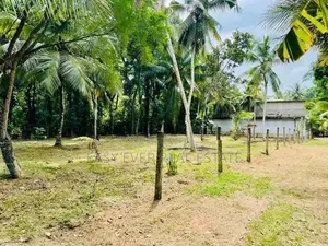 මිනුවන්ගොඩ නගරයෙන් වටිනා නේවාසික ඉඩමක් |KK 10495