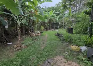 Land for Sale in Kohuwala