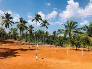 Valuable Land for Sale in Aththanagalla,Pasyala Road M08