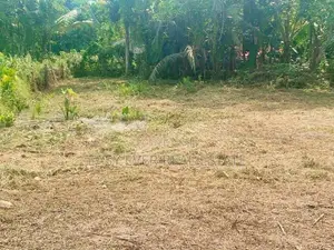 දොරනාගොඩ – වඩුවේගම පාරෙන් වටිනා ඉඩමක් විකිණීමට