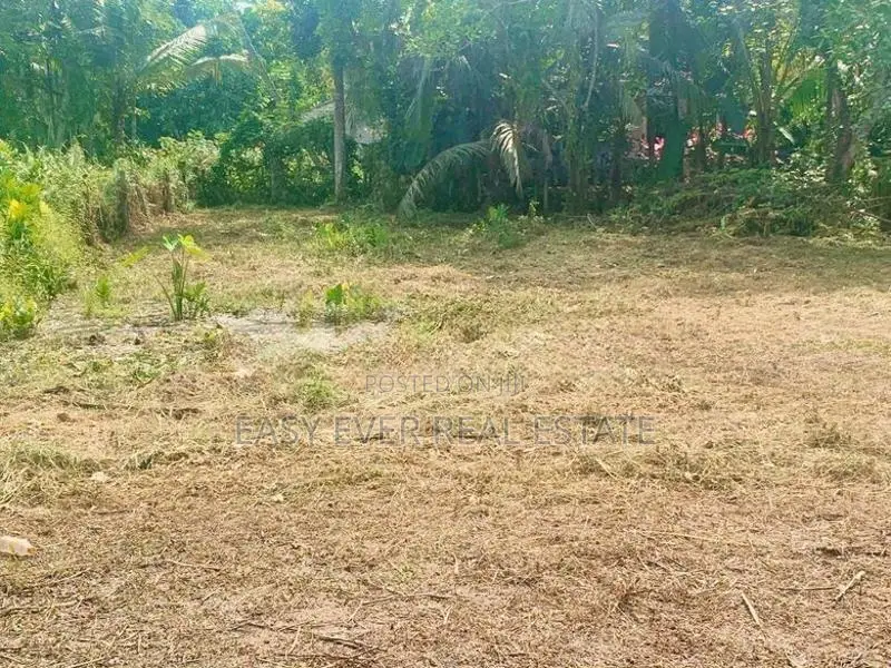 දොරනාගොඩ – වඩුවේගම පාරෙන් වටිනා ඉඩමක් විකිණීමට