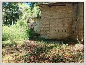තලාතුඔය – ගුරුදෙනිය පාරේ වටිනා ඉඩමක් සහ අඩක් නිම කළ නිවසක් විකිණීමට