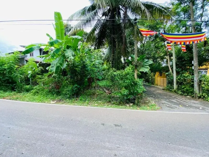 Valuable Residential Land for Sale in Thalawathugoda