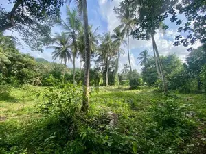 ( GC-1068) Valuable Commercial Bare Land Sale in Meegoda