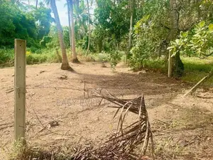 දොරනාගොඩ – වඩුවේගම පාරෙන් වටිනා ඉඩමක් විකිණීමට