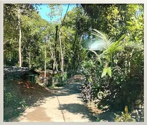 තලාතුඔය – ගුරුදෙනිය පාරේ වටිනා ඉඩමක් සහ අඩක් නිම කළ නිවසක් විකිණීමට