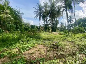 ( GC-1068) Valuable Commercial Bare Land Sale in Meegoda