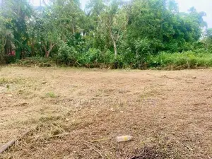 දොරනාගොඩ – වඩුවේගම පාරෙන් වටිනා ඉඩමක් විකිණීමට
