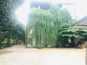 Family Villa for Rent kataragama