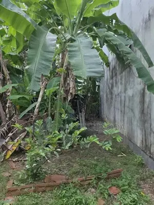 Land for Sale in Kohuwala