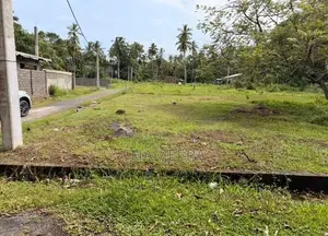 Land for Sale in Adiambalama Katunayake