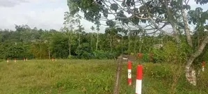 බිම්කොටස් රයිගම
