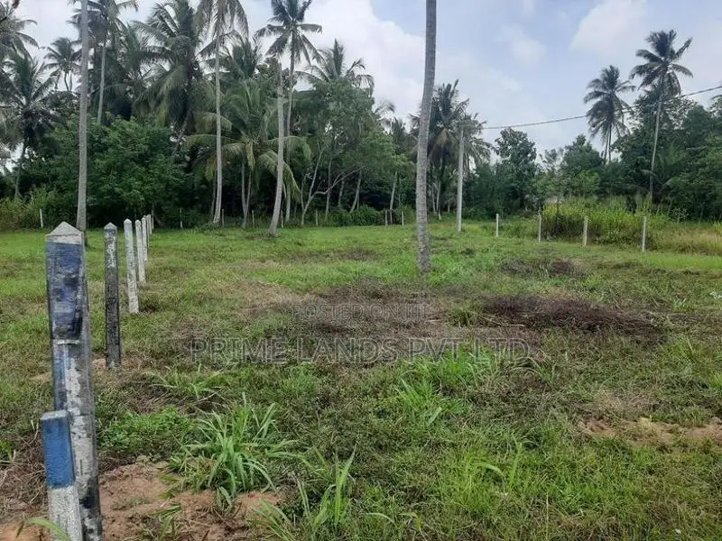 බිංගිරිය ටවුමෙන්ම ඉඩමක්