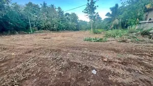 Land for Sale Ella Wellawaya Road, Abagasdowa