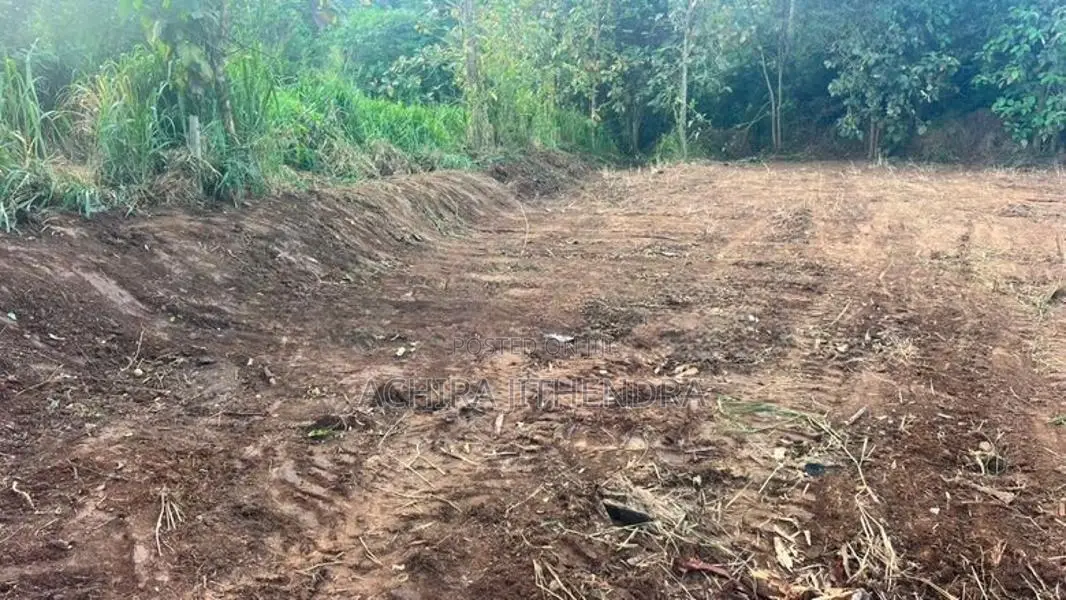 Land for Sale Ella Wellawaya Road, Abagasdowa