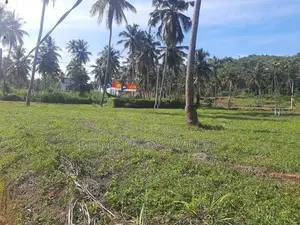 නාරම්මලින් කොලඹ පාරෙන් සුපිරි ඉඩමක්