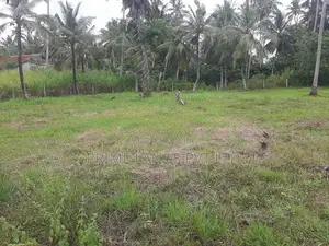 බිංගිරිය ටවුමෙන්ම ඉඩමක්