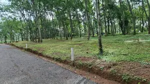 දිවුලපිටිය ,වල්පිට කුරුණෑගල පහ පාරෙන් බිම්කොටස්