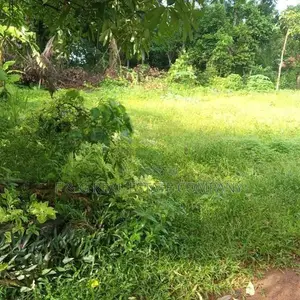 Yakkala Kalagedihena Land for Sale