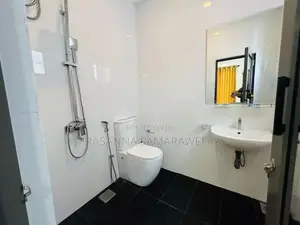 Super Luxury Brand New Modern 2 Storey House-Piliyandala