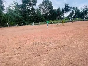 Kalagedihena නුවර පාරට ආසන්නයෙන් වටිනා බිම් කොටස් කිහිපයක්