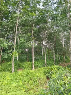 House & Land