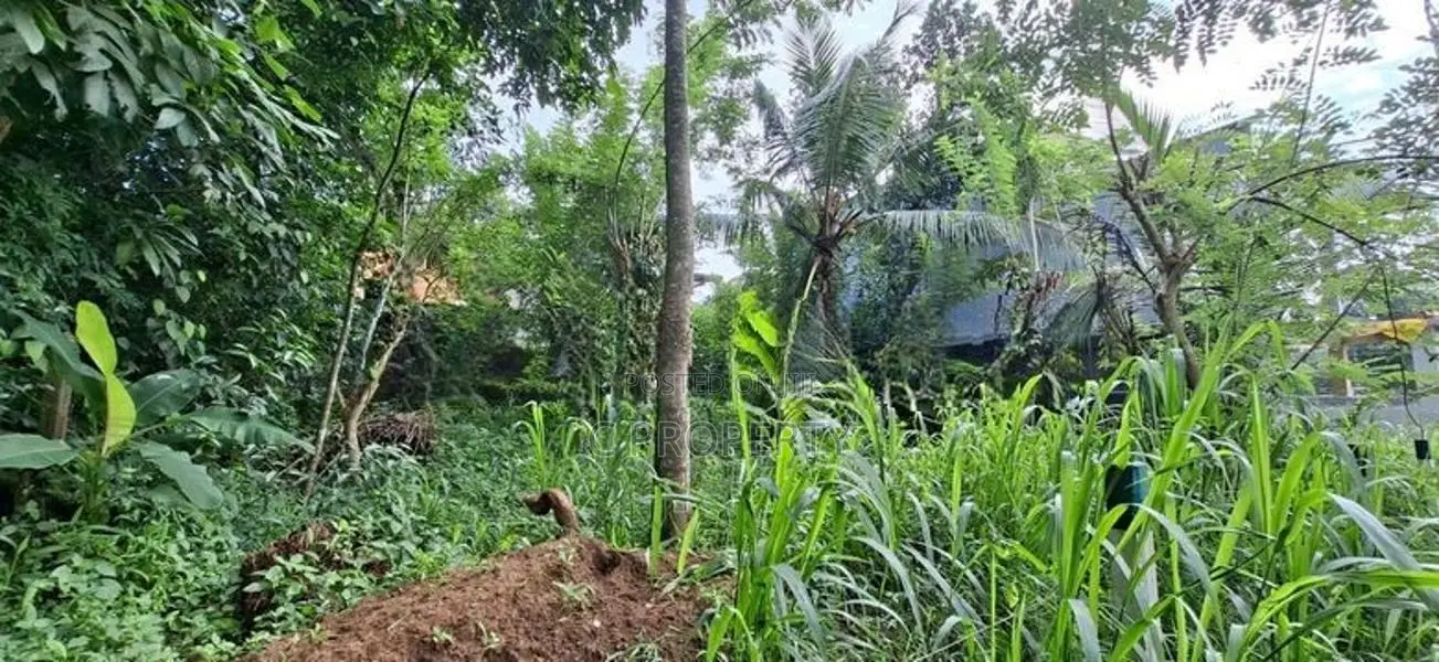Land For Sale Polgasowita Sri Saranankara Mawatha