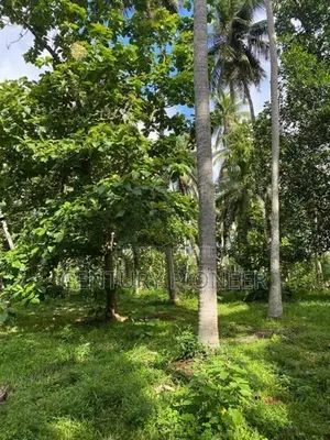 1.5 Acres Land in Katana