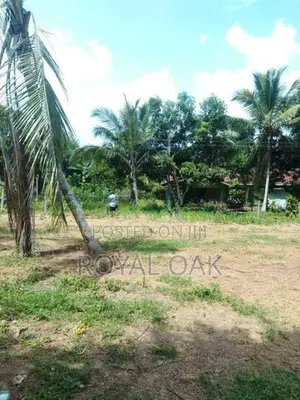 Land for Sale Dagonna