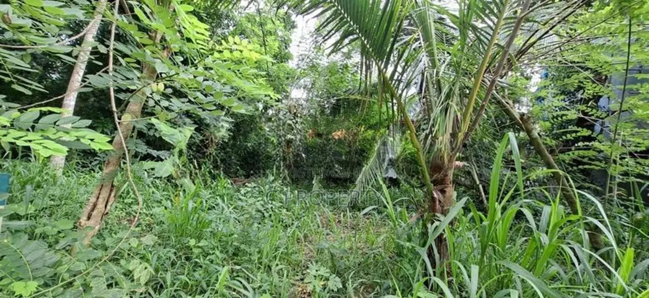 Land For Sale Polgasowita Sri Saranankara Mawatha