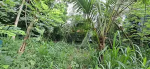 Land For Sale Polgasowita Sri Saranankara Mawatha