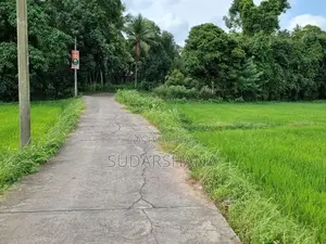 Kadawatha 20P Land With Paddy Field View