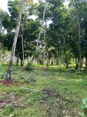 1.5 Acres Land in Katana