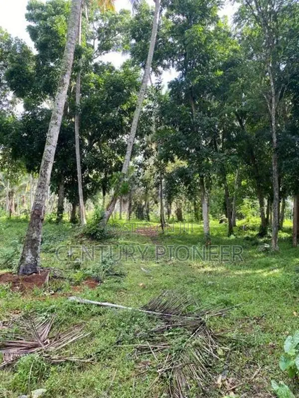 1.5 Acres Land in Katana