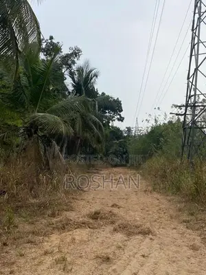 Land for Rent - Katunayake