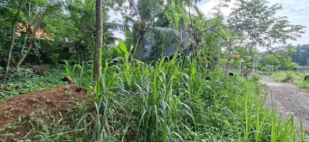 Land For Sale Polgasowita Sri Saranankara Mawatha