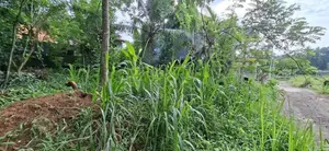 Land For Sale Polgasowita Sri Saranankara Mawatha