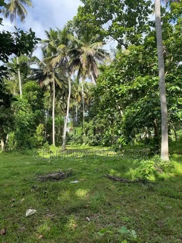 1.5 Acres Land in Katana