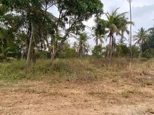 Land for Rent - Katunayake