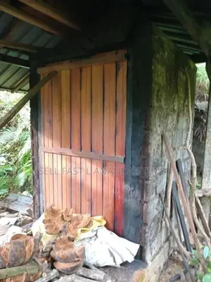 House & Land