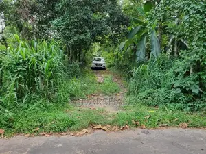Kadawatha 20P Land With Paddy Field View