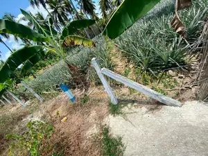 Land for Sale in Humbutiyawa, Nittambuwa