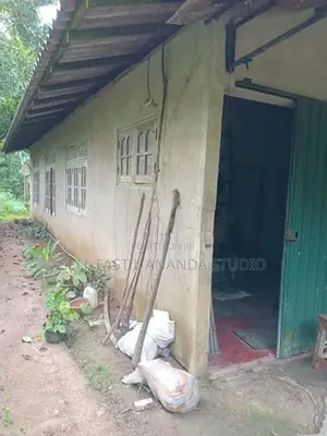 House & Land