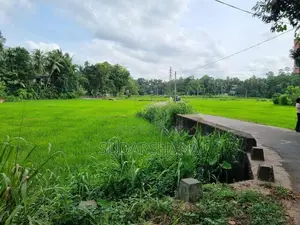Kadawatha 20P Land With Paddy Field View